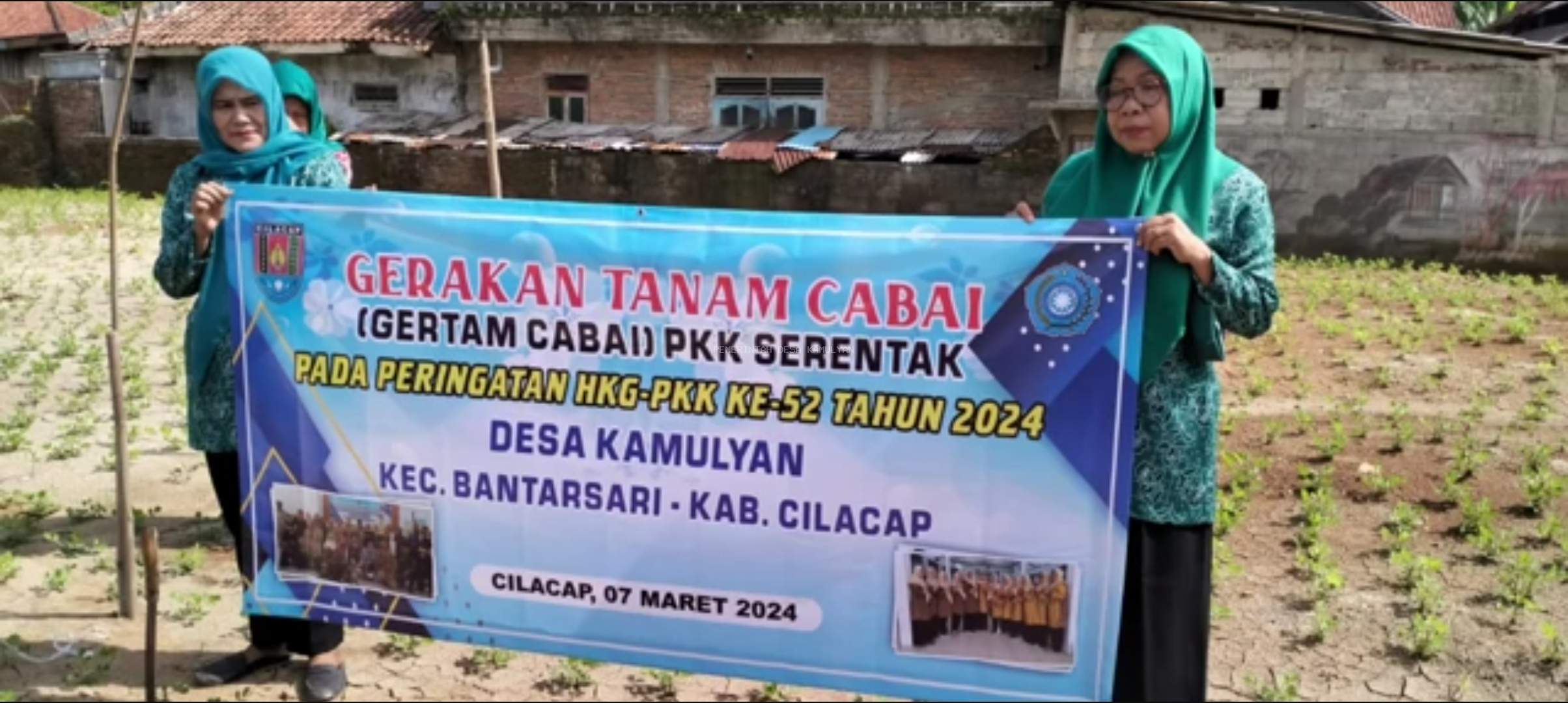 GERTAM CABAI PKK SERENTAK DESA KAMULYAN PADA PERINGATAN HKG-PKK KE-52 TAHUN 2024