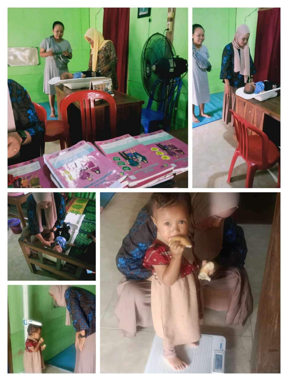 POSYANDU BINA SEJAHTERA BULAN  FEBRUARI DESA KAMULYAN 